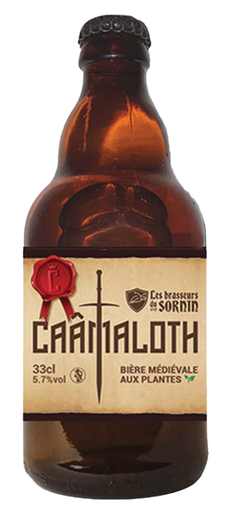 Pierrick Torasso - Bière artisanale Caâmaloth paiement stablecoin euro