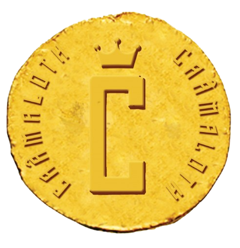 Pierrick Torasso - Pièce CAÂM token blockchain DeFi